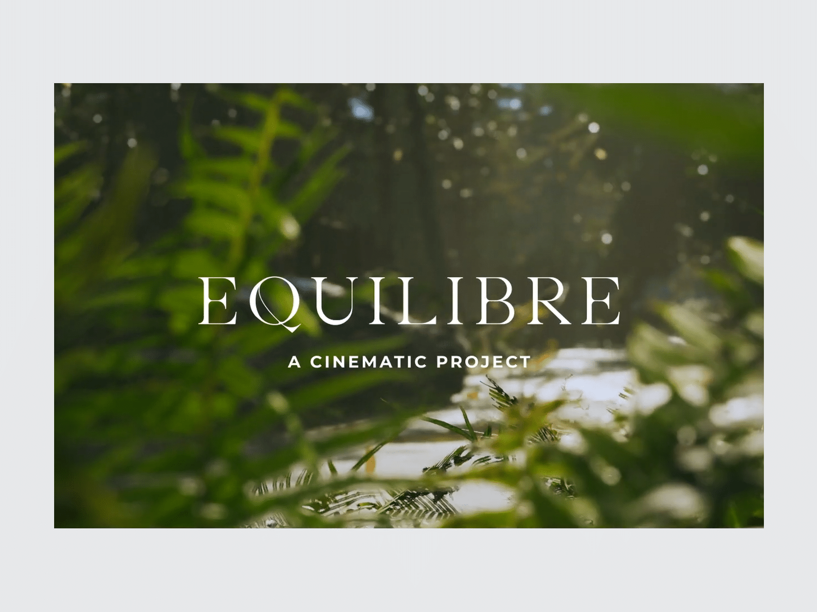 A cinematic project : Equilibre
